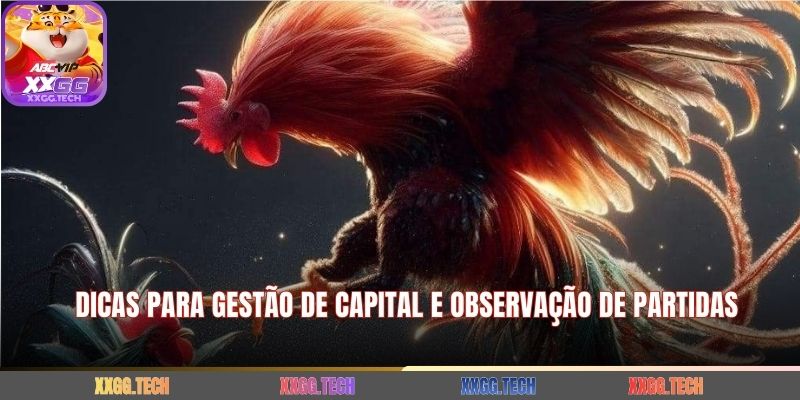 Dicas para Gestão de Capital e Observação de Partidas