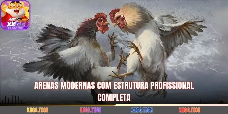 Arenas modernas com estrutura profissional completa