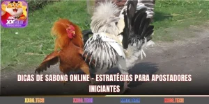 Dicas De Sabong Online - Estratégias Para Apostadores Iniciantes