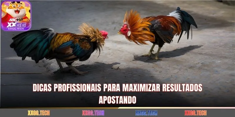 Dicas profissionais para maximizar resultados apostando