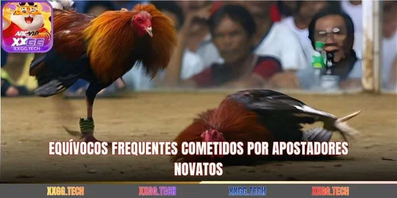 Equívocos frequentes cometidos por apostadores novatos