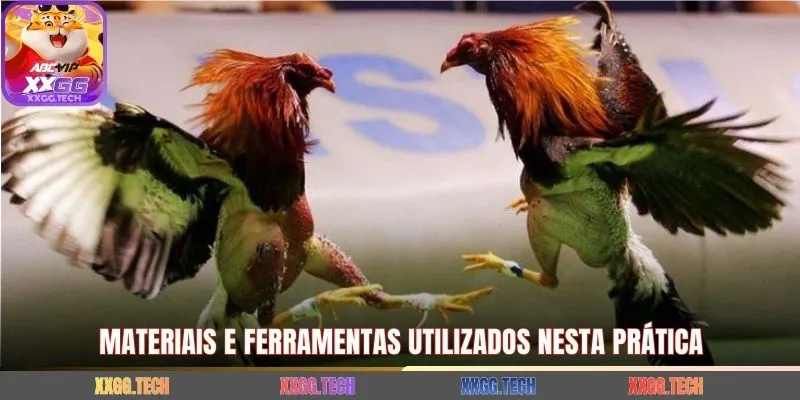 Materiais e ferramentas utilizados nesta prática