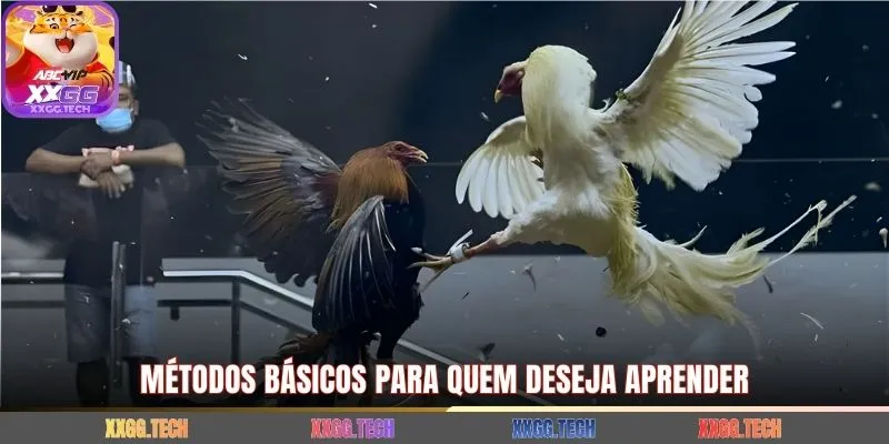 Métodos básicos para quem deseja aprender