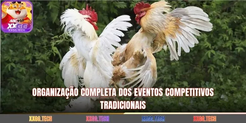 Organização completa dos eventos competitivos tradicionais