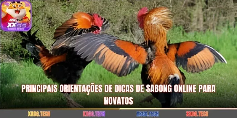 Principais orientações de dicas de sabong online para novatos