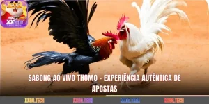 Sabong Ao Vivo Thomo - Experiência Autêntica de Apostas