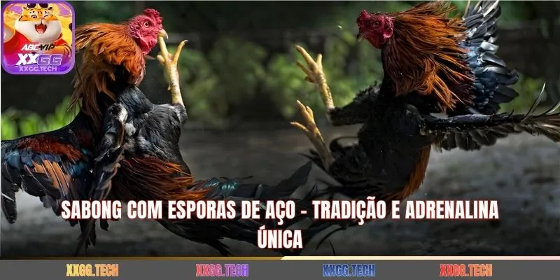 Sabong Com Esporas De Aço - Tradição E Adrenalina Única