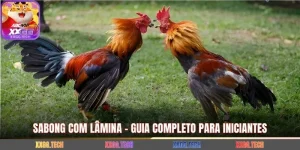 Sabong Com Lâmina - Guia Completo Para Iniciantes