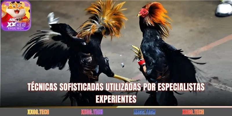 Técnicas sofisticadas utilizadas por especialistas experientes