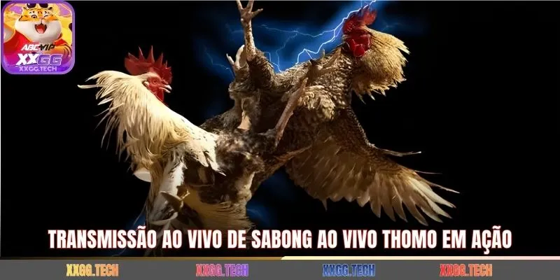 Transmissão ao vivo de sabong ao vivo Thomo em ação